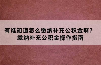 有谁知道怎么缴纳补充公积金啊？ 缴纳补充公积金操作指南